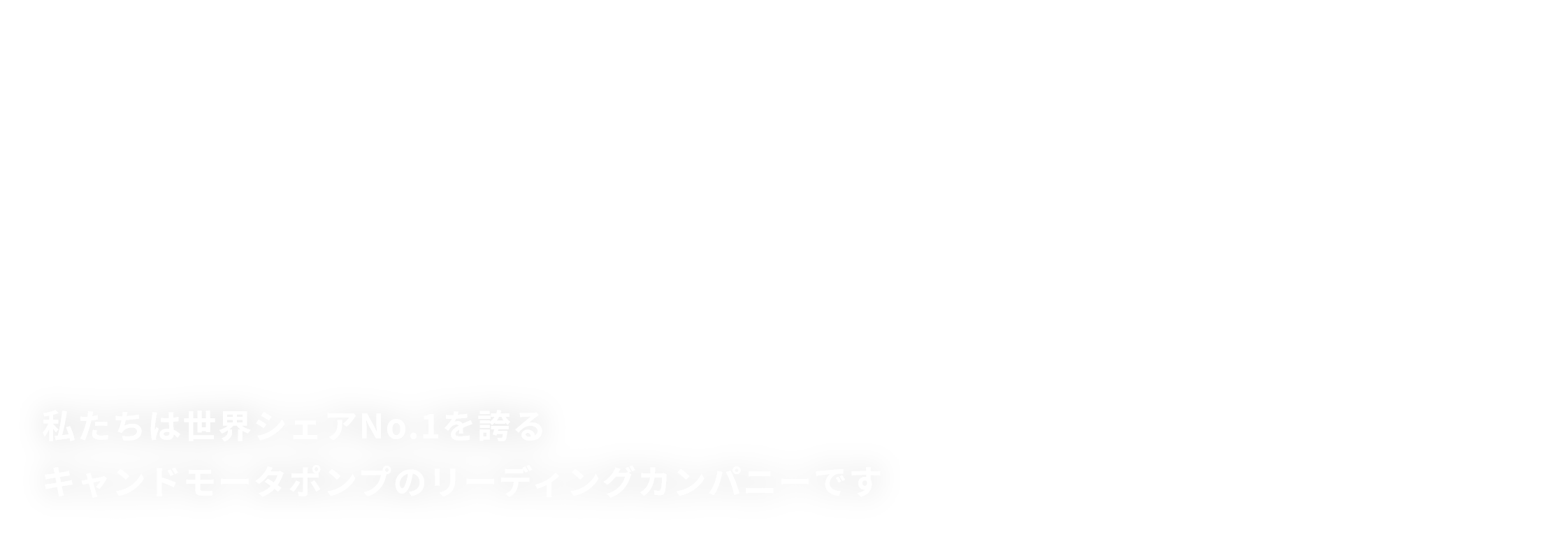 Canned Motor Pump Manufacturer 私たちは世界シェアNo.1を誇るキャンドモータポンプのリーディングカンパニーです